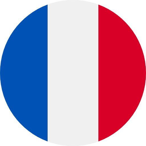 Bandeira - França
